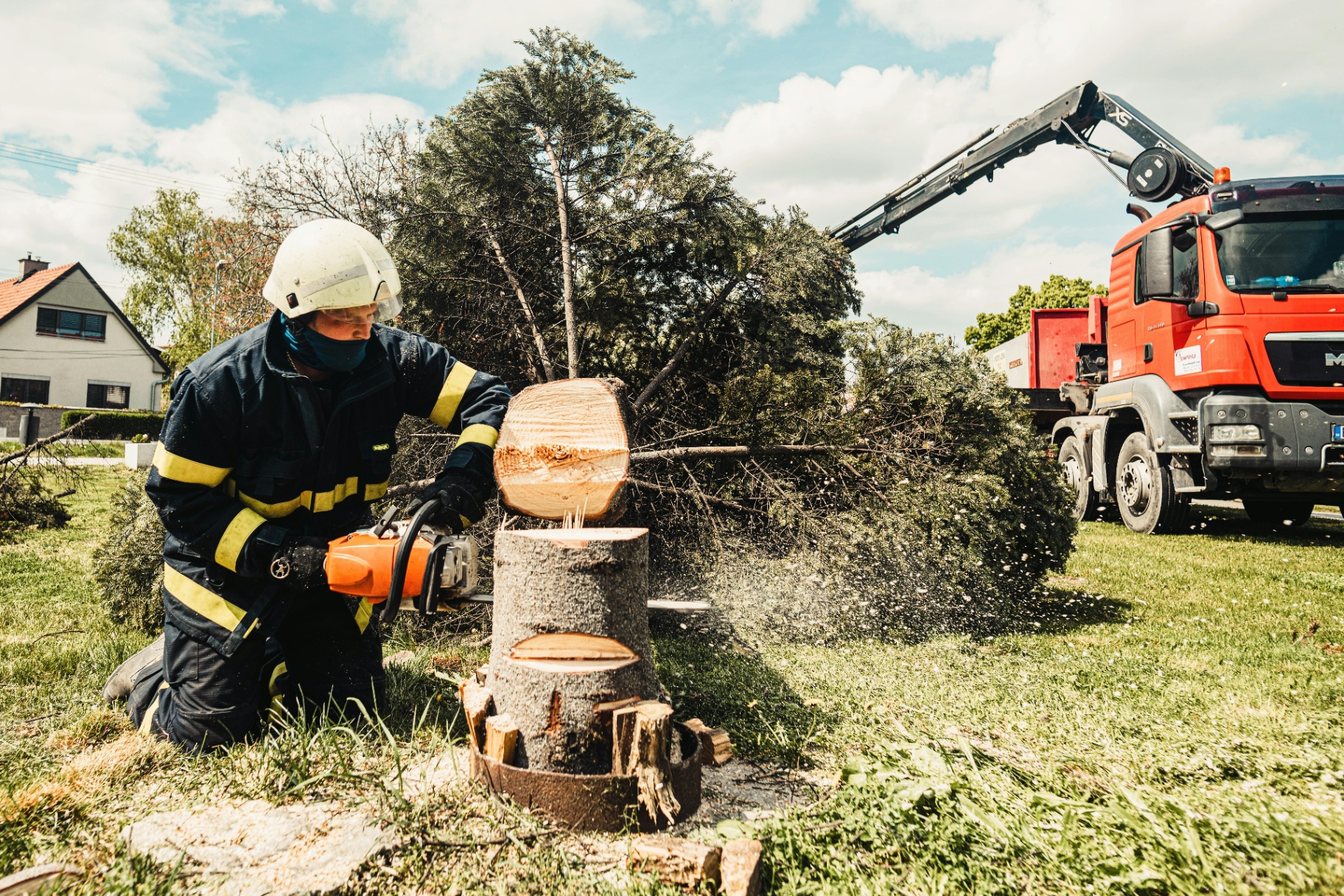 Tree service worker using chainsaw to cut tree stump with equipment truck